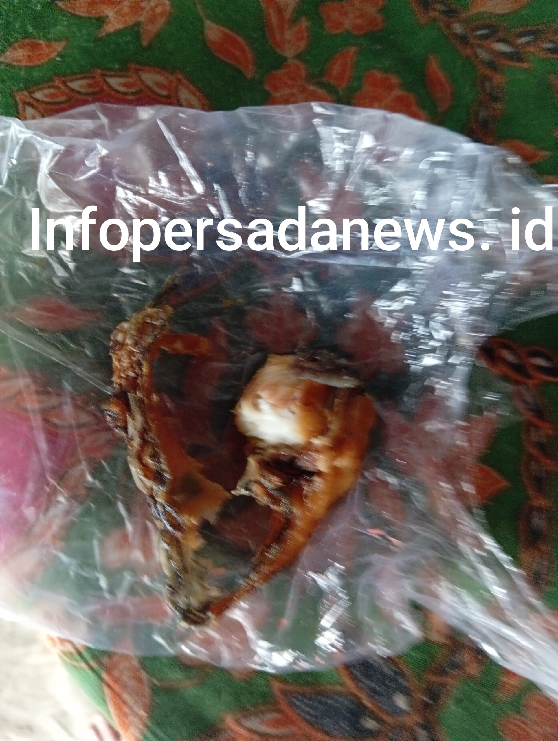 Menu hari selasa di SMP negeri 2,Smk budaya